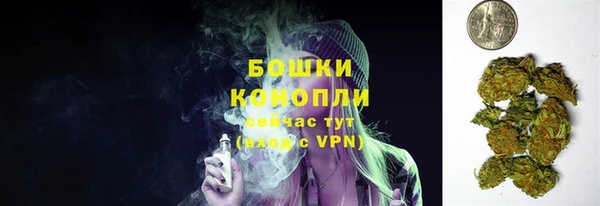 прущие грибы Навашино