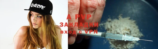 прущие грибы Навашино