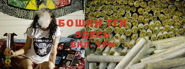 прущие грибы Навашино