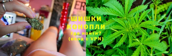 прущие грибы Навашино